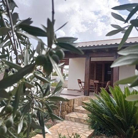 Villa Dei Colori 쿠스토나치 외부 사진
