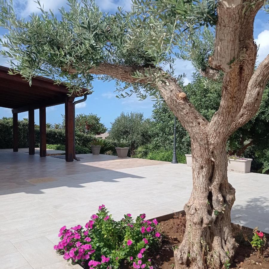 Villa Dei Colori 쿠스토나치 외부 사진